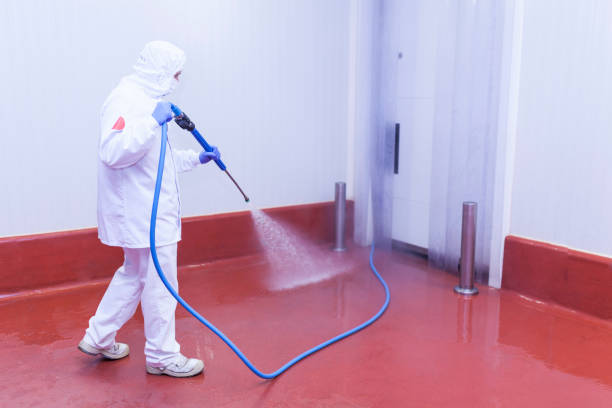 Best Graffiti Removal  in Ata, OK